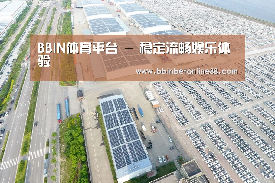 案例展示四