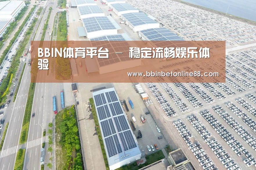 案例展示三