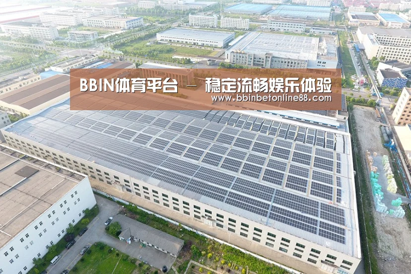 案例展示四