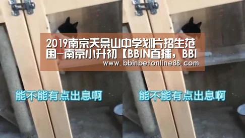 BBIN直播，BBIN官网，BBIN赛事，BBIN电竞