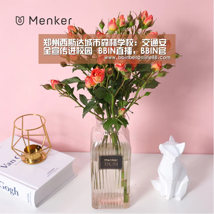 BBIN直播，BBIN官网，BBIN赛事，BBIN电竞